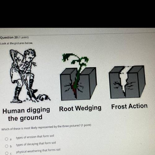 Look at the pictures below.

Root Wedging
Frost Action
Human digging
the ground
Which of these is
