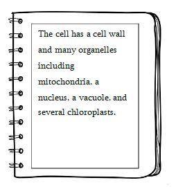 PLEASE HELP 50 POINTS

A student wrote this description of a cell after looking at it under a micr
