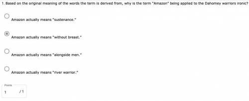 Based on the original meaning of the words the term is derived from, why is the term “Amazon” being