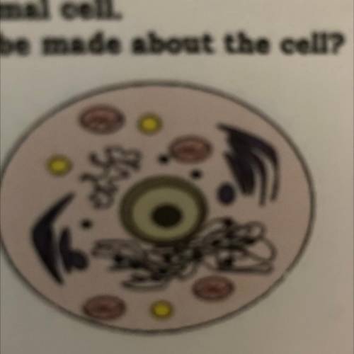 5. The picture shows a microscopic view of an animal cell.

Which of the following is an observati