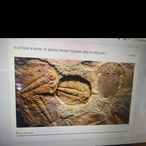 Is a fossil a biotic or abiotic factor? Explain why or why not.*
2 points
Your answer