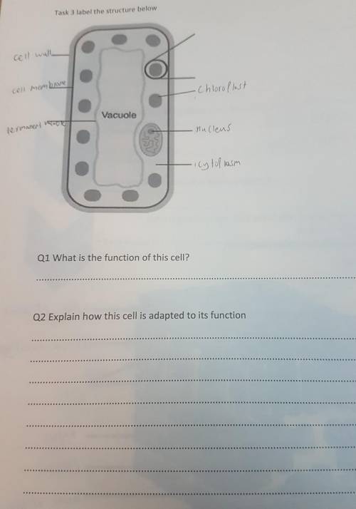 How to do this question plz answer my question plz ​