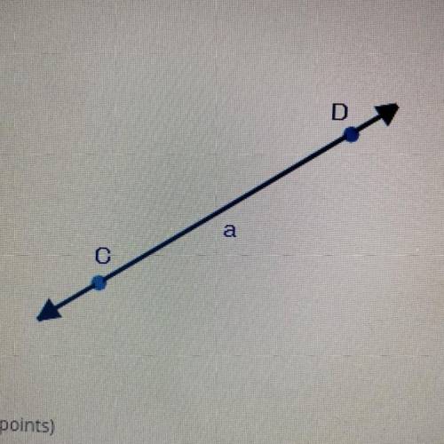 Which is the correct label of the line?
D
a
С