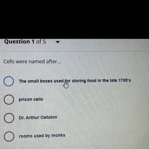 What were cells named after