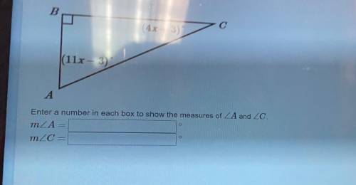 Please help! I have no idea how to do this, I don’t need an explanation I just need an answer pls a