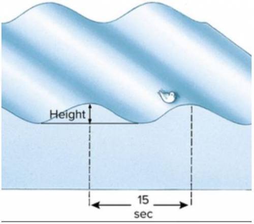 In the picture shown below the portion of the wave labeled height could also be correctly labeled