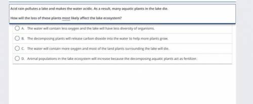 How will the loss of these plants most likely affect the lake ecosystem?