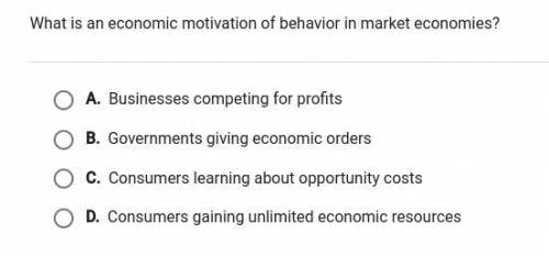 What is an economic motivation of behavior in market economies?

A.businesses competing for profit