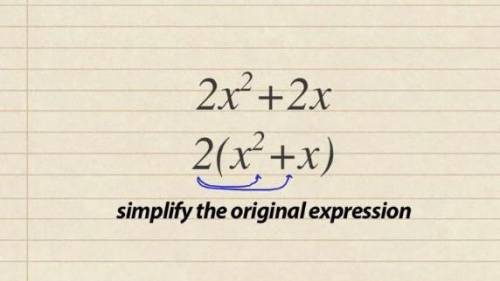 How are algebraic expressions rewritten in different equivalent forms by simplifying them?
