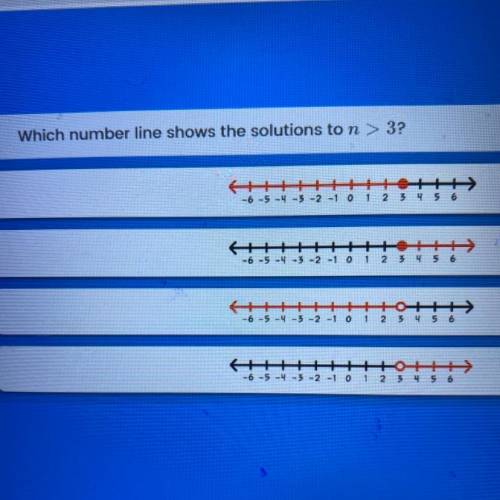 I which number line shows the answer to n>3 ?
