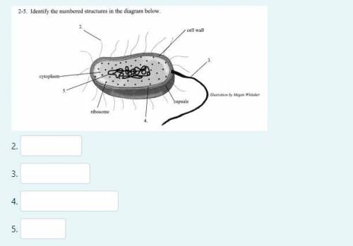 Biology Module 2 test 
I need help with this
