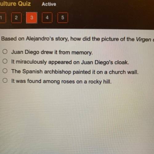 Based on Alejandro's story, how did the picture of the Virgen de Guadalupe come to life?