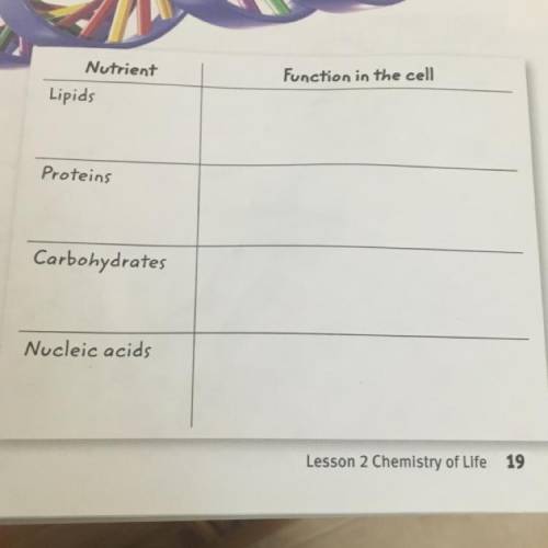 Fill in the table with function of each nutrients in the cell.