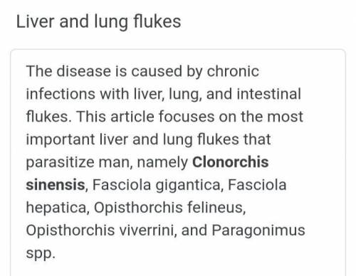 What are liver/lung flukes?