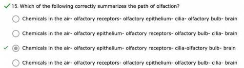 Which of the following correctly summarizes the path of olfaction?