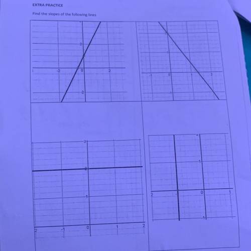 I need help please. “Find The Slope Of The Following Lines.”