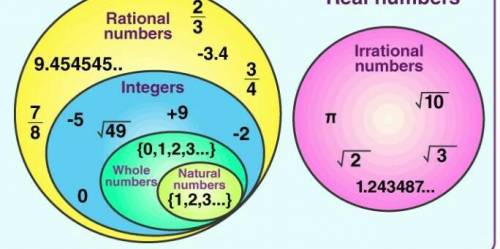 What are rational and irrational numbers?