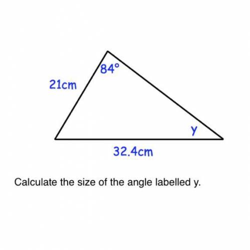 Calculate the size of the angle labelled y.