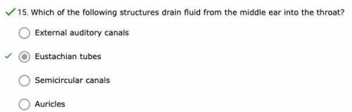 Which of the following structures drain fluid from the middle ear into the throat?