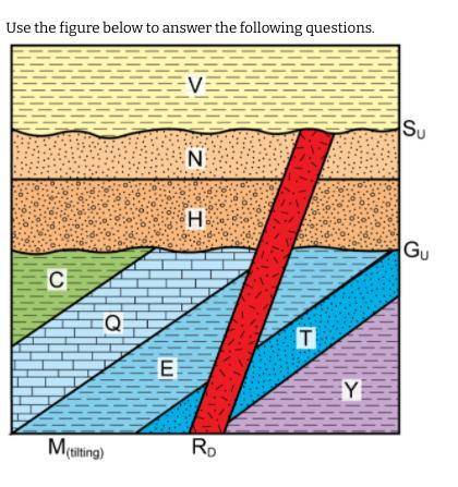The relative ages of Layers D, S, K, N, and G can be determined by using which principle? (please h