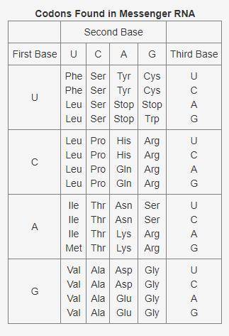 Use the following table to answer the question:

This table shows the codons found in messenger RN