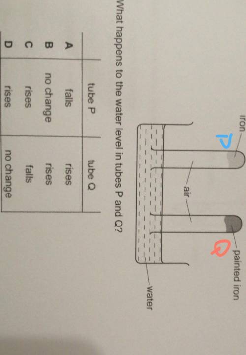What happens to the water level in tubes P and Q?

The painted iron is tube QThe regular iron is t