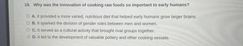 Why was the innovation of cooking raw foods so important to early humans