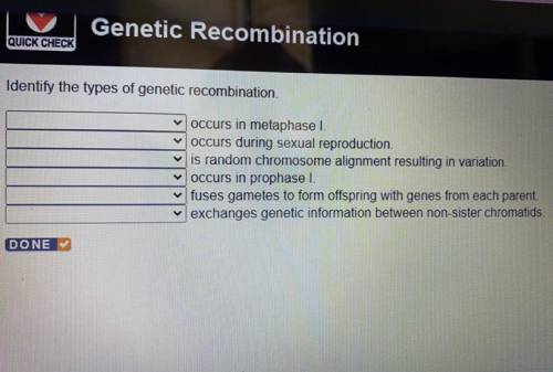 Identify the types of genetic recombination