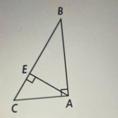 1. Which segment of the hypotenuse is adjacent to AB?
A. EC
B. AC
C. AE
D. BE