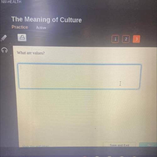 THE MEANING OF CULTURE: what are values