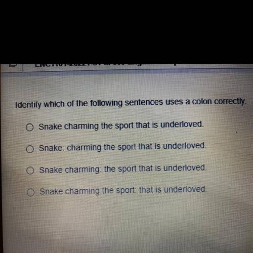Identify which of the following sentences uses a colon correctly.

O Snake charming the sport that