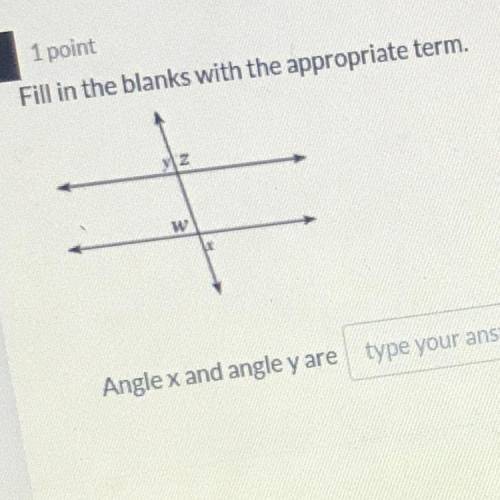 Angle x and angle y are ______ ?
angles and angle w and angle y ______
angles.