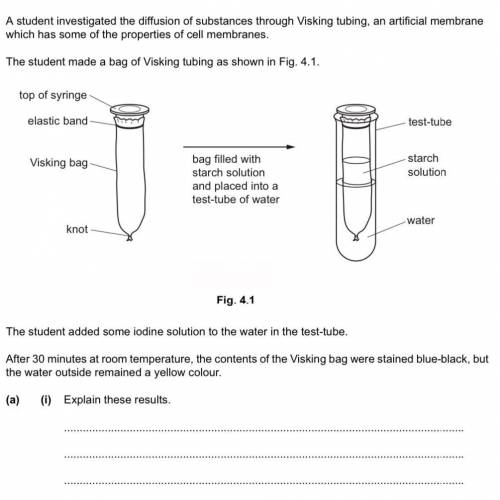 A student investigated the diffusion of substances through busking tubing, an artificial membrane (