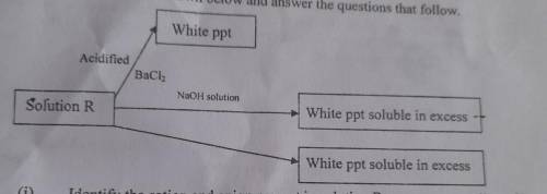 8. Study the flow chart in the photo and answer the questions that follows.

(i) Identify the cati