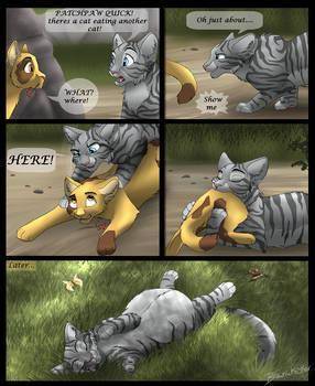 This is what happeened to patchpaw in warrior cats