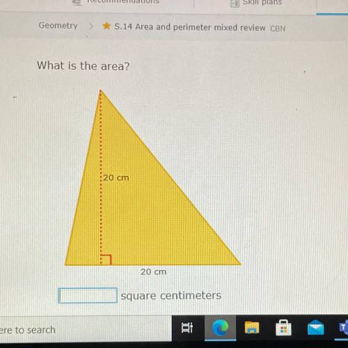 What is the area?
20 cm
20 cm