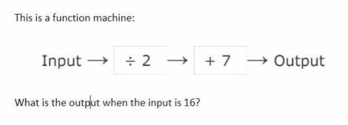 What is the output when the input is 16?
16 divided by 2 + 7 = Output