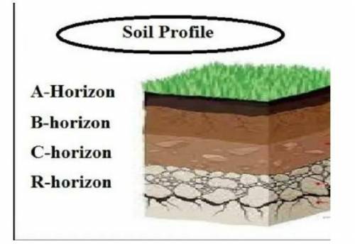 what is sold profile? write the names of various horizons of soil with the help of a neat labeled di