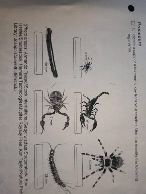 Taxonomic key from your teacher. Use it to identify the following organisms. and it's science
