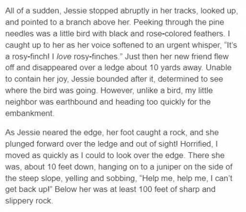 Plz help story is in the pictures that are below the question!!!

Why does the author include Jess