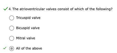 The atrioventricular valve consist of which of the following?