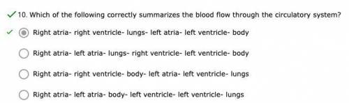 Which of the following correctly summarizes the blood flow through the circulatory system?
