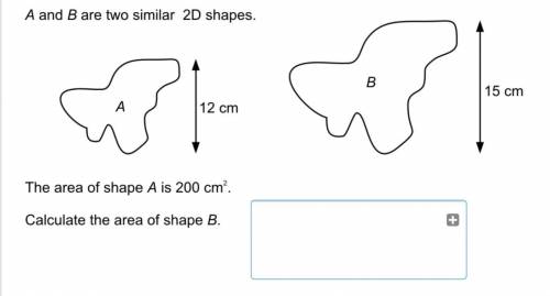 What is the area of shape b