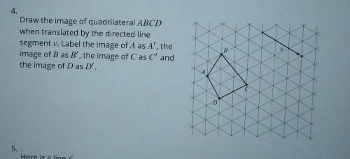 Draw the image of quadrilateral ABCD when translated by the directed line segment v. Label the imag