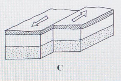 Describe the movement of the tectonic plates in model C. What is this situation called?