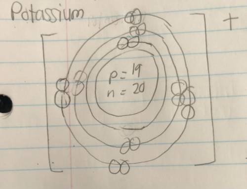 QUICK QUESTION: On the Bohr model, how come potassium has 19 electrons in its valence shell if pota