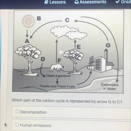 Answer options are:

A- DECOMPOSITION 
B- HUMAN EMISSIONS
C- PLANT RESPIRATION
D- PHOTOSYNTHESIS