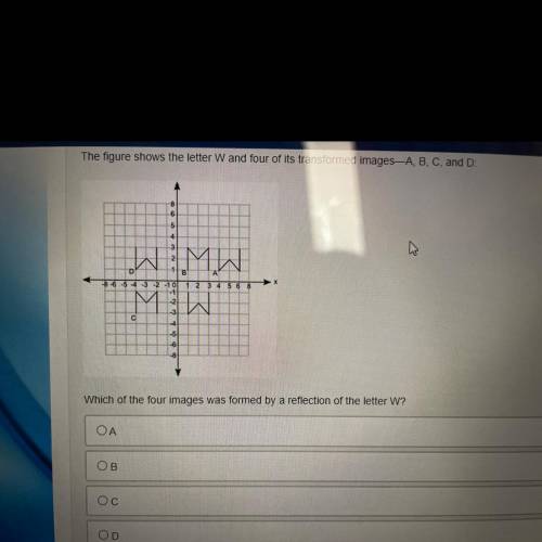 Please help with this I just wanna make sure I’m correct.