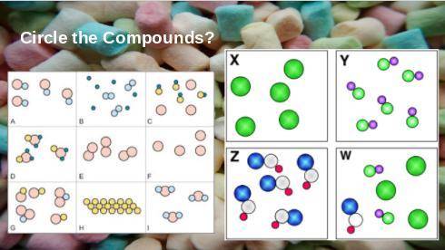 Answer this ASAP please! Question: Circle the compounds. (Science)