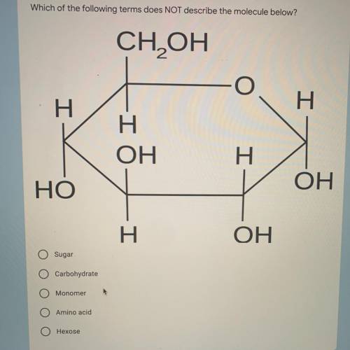 Which terms do not describe the molecule below?